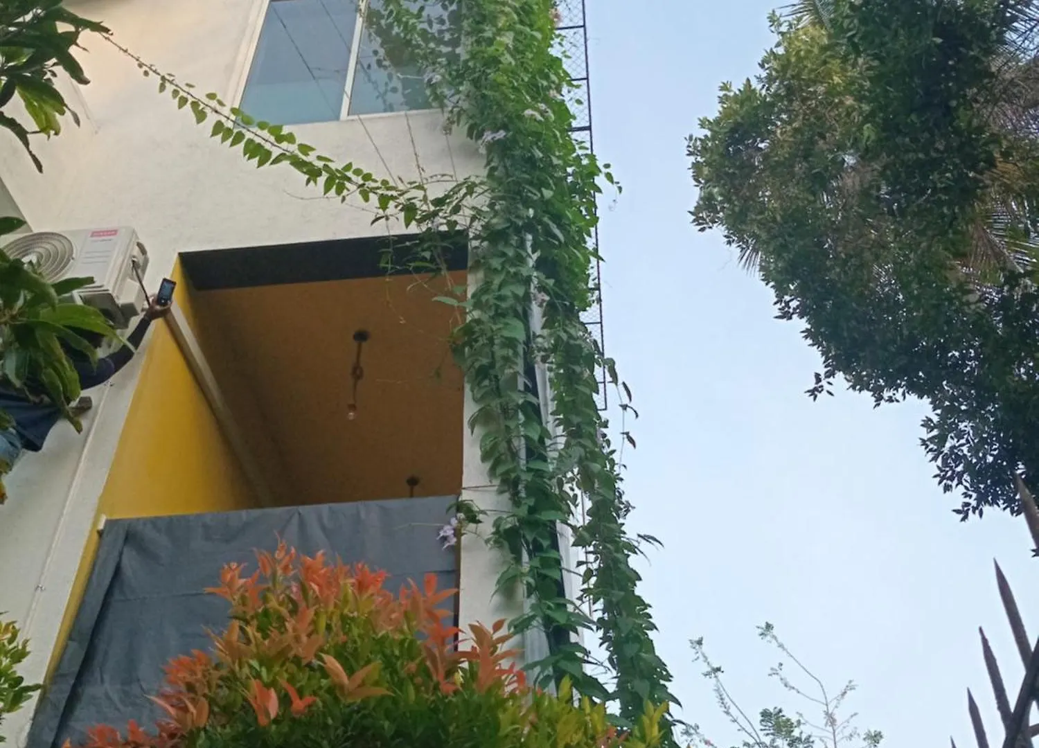 Hotel The Palms View Airport Villa Minuwangoda